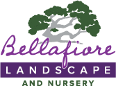 Bellafiore Landscape and Nursery