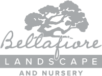Bellafiore Landscape and Nursery